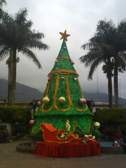 001 Xilitla Main Plaza Xmas Tree 25th Dec 2010.jpg